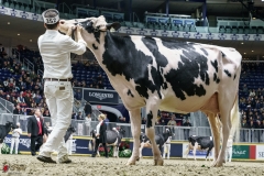 DSC05784-2 DSC05784-2