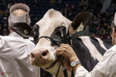 DSC05803-2 DSC05803-2