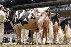 DSC05811-2 DSC05811-2