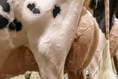 DSC05819-2 DSC05819-2