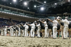 DSC05833-2 DSC05833-2