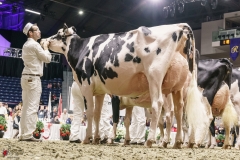 DSC05843-2 DSC05843-2