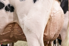 DSC05852-2 DSC05852-2