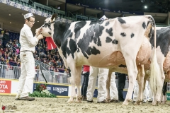 DSC05859-2 DSC05859-2