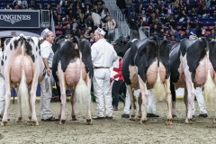 DSC05866-2 DSC05866-2