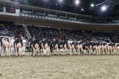 DSC05869-2 DSC05869-2