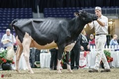 DSC05263-2 DSC05263-2