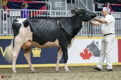 DSC05264-2 DSC05264-2