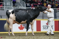 DSC05271-2 DSC05271-2