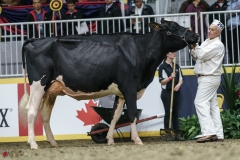 DSC05277-2 DSC05277-2