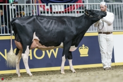 DSC05280-2 DSC05280-2