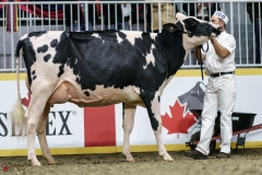 DSC05283-2 DSC05283-2