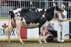 DSC05285-2 DSC05285-2