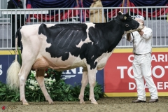 DSC05292-2 DSC05292-2