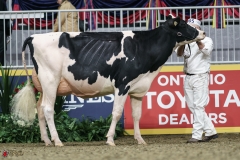 DSC05294-2 DSC05294-2