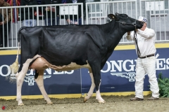 DSC05298-2 DSC05298-2