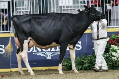 DSC05306-2 DSC05306-2