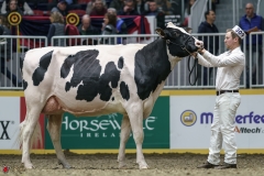 DSC05308-2 DSC05308-2