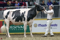 DSC05310-2 DSC05310-2