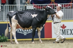 DSC05316-2 DSC05316-2