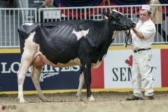 DSC05318-2 DSC05318-2