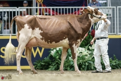 DSC05322-2 DSC05322-2