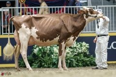 DSC05326-2 DSC05326-2