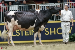 DSC05336-2 DSC05336-2