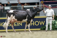 DSC05338-2 DSC05338-2