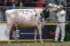 DSC05346-2 DSC05346-2