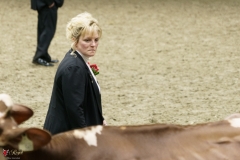 DSC07196-2 DSC07196-2