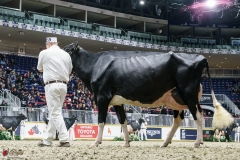 DSC05896-2 DSC05896-2