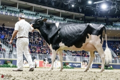 DSC05900-2 DSC05900-2