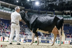 DSC05938-2 DSC05938-2