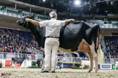 DSC05946-2 DSC05946-2