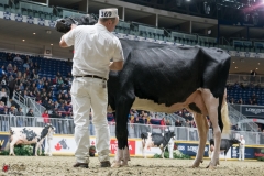 DSC05949-2 DSC05949-2