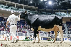 DSC05957-2 DSC05957-2