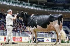 DSC05977-2 DSC05977-2