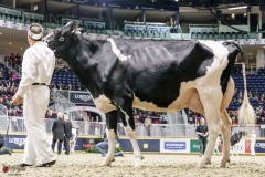 DSC05979-2 DSC05979-2