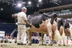 DSC06002-2 DSC06002-2