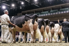 DSC06004-2 DSC06004-2