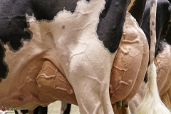 DSC06008-2 DSC06008-2