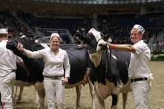 DSC06013-2 DSC06013-2