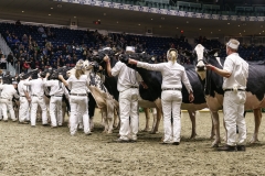 DSC06015-2 DSC06015-2