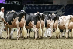 DSC06020-2 DSC06020-2