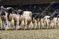 DSC06027-2 DSC06027-2