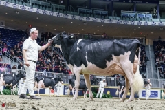 DSC06039-2 DSC06039-2