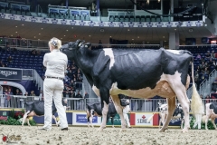 DSC06045-2 DSC06045-2