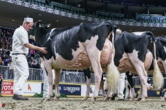 DSC06051-2 DSC06051-2