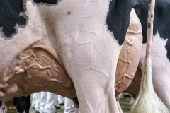 DSC06056-2 DSC06056-2